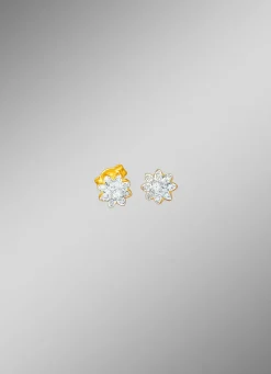 Damen Mona Ohrschmuck<Ohrstecker mit Brillanten und Diamanten