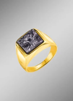 Vergoldeter Herrenring mit Silicium Herren Ringe